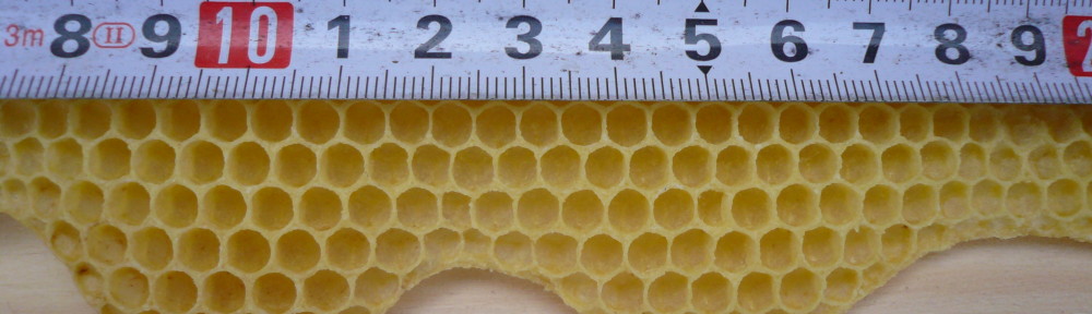 Węza i komórka pszczela 4,9 mm